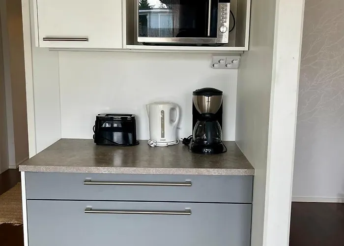 Saunallinen Kolmio Kahdella Autopaikalla Jyväskylä